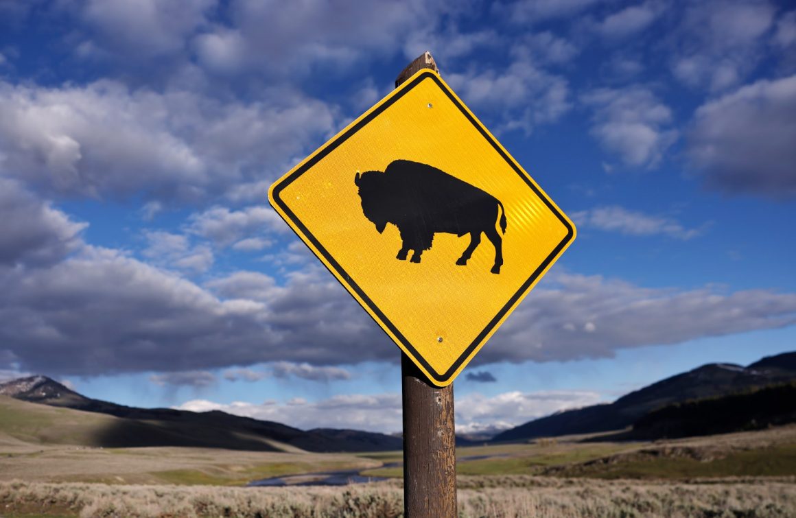 National Parks Celebrate 110th Anniversary Amid Fee Changes and New Policies