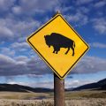 National Parks Celebrate 110th Anniversary Amid Fee Changes and New Policies