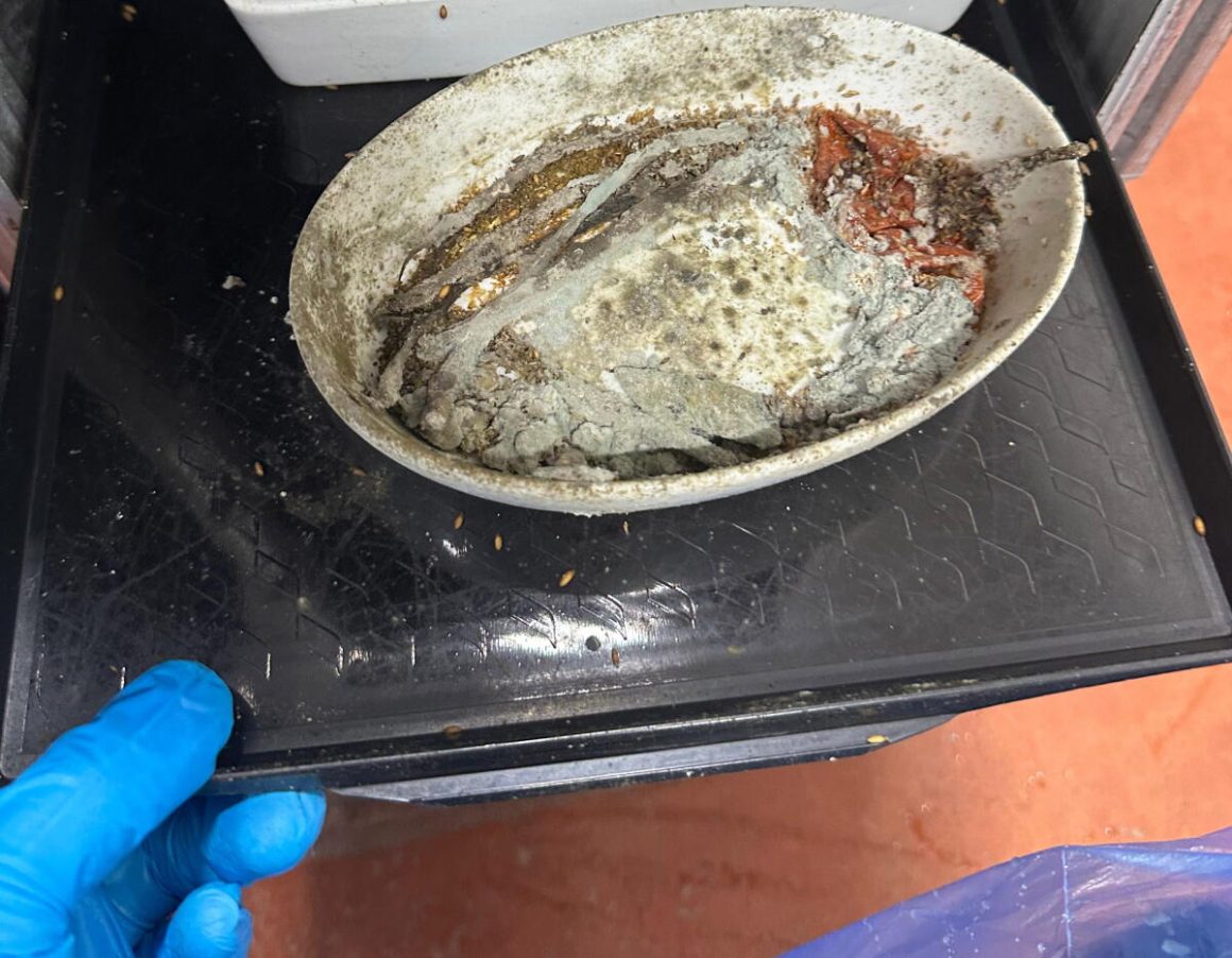 Allegations of Unsanitary Conditions at Inglewood Facility