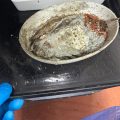 Allegations of Unsanitary Conditions at Inglewood Facility
