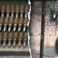 Nevada Man Admits to Weapons Trafficking and Money Laundering