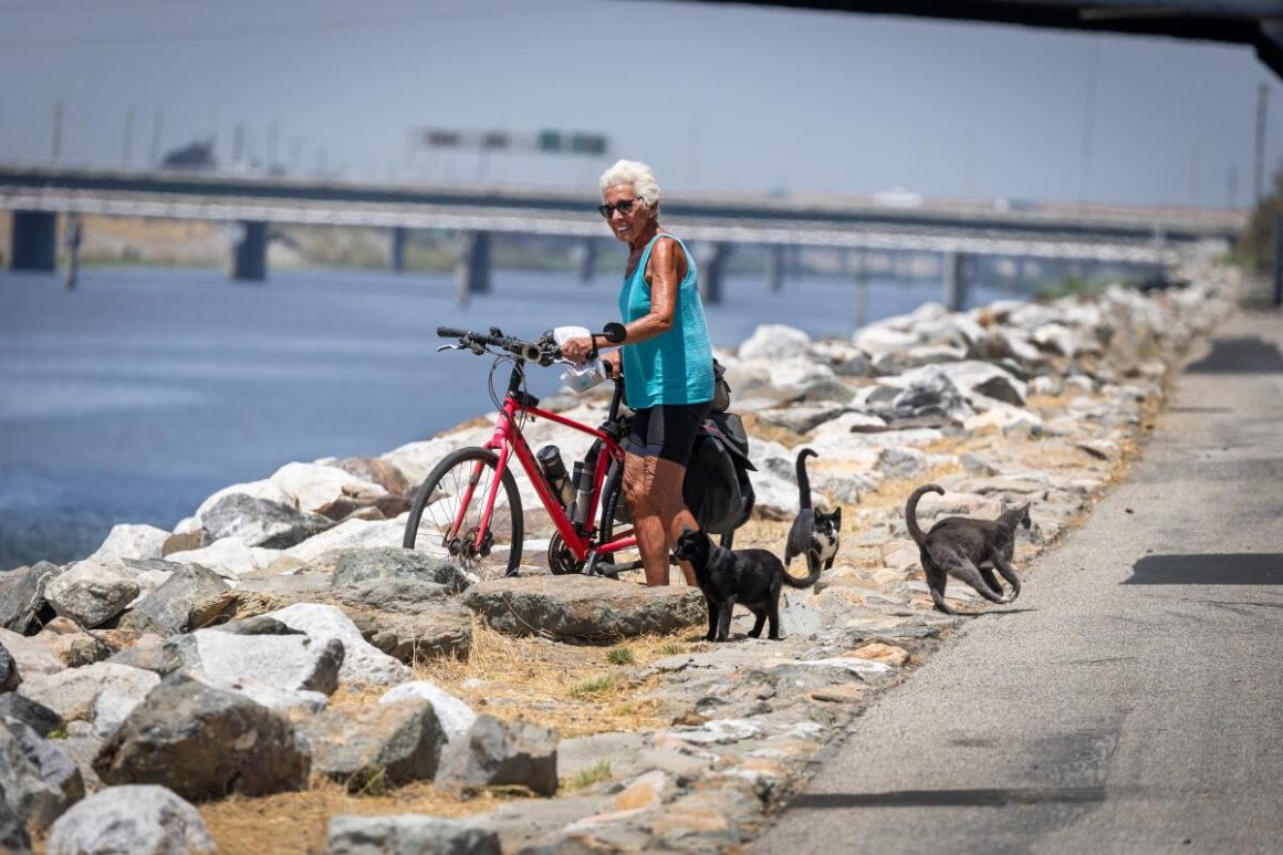 The Essential California Newsletter: Focus on Accountability and Unique Stories