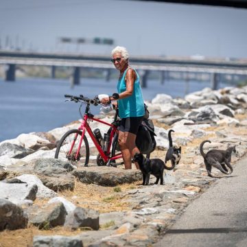 The Essential California Newsletter: Focus on Accountability and Unique Stories