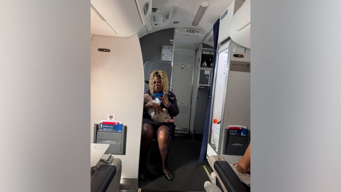 031808ba-3645-4288-9a91-28ca0f5bd97d Flight Attendant’s Quick Response Praised on United Airlines Flight