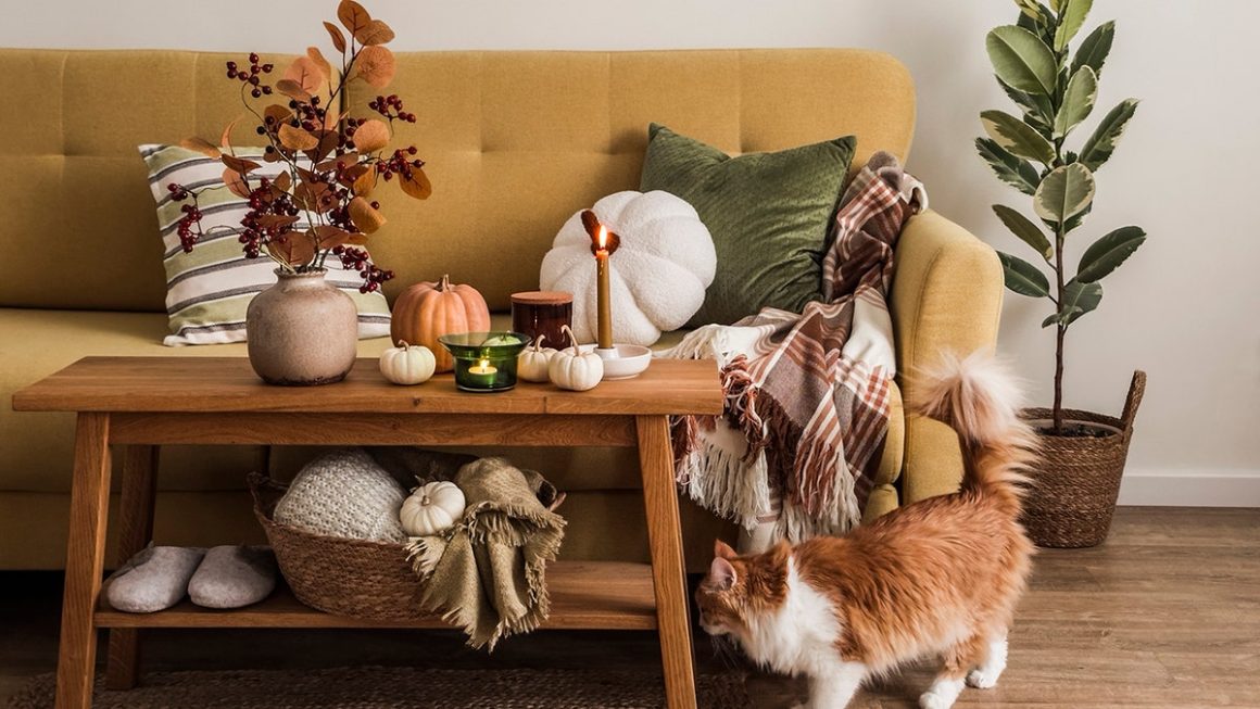 054e0688-2703-4681-b361-68d878f2f74f Affordable Home Decor for a Cozy Fall