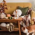 Affordable Home Decor for a Cozy Fall