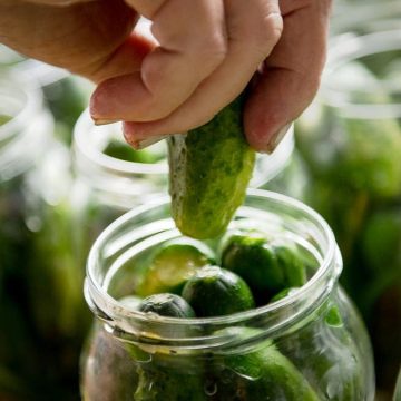 America’s Pickle Flavor Craze: A Tasty Trend Sweeps Snack Aisles and Beyond