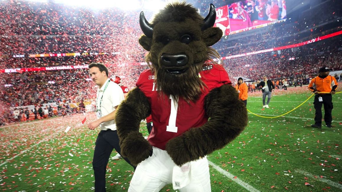 12255649-5e56-48f6-b007-8c6e4b097379 Indiana Hoosiers’ Bison Mascot Delivers Memorable Performances