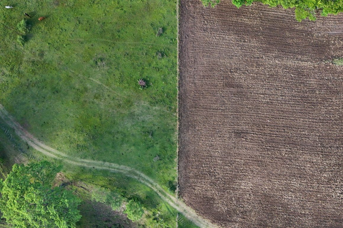 Impact of El Niño on Global Food Prices and Supply
