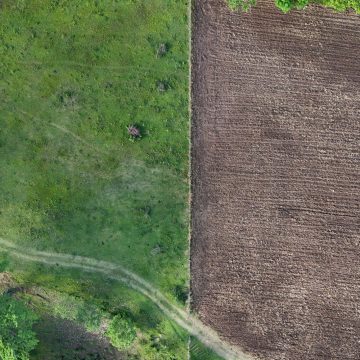 Impact of El Niño on Global Food Prices and Supply