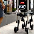 Robot Dog Takes Autonomous Delivery to New Heights