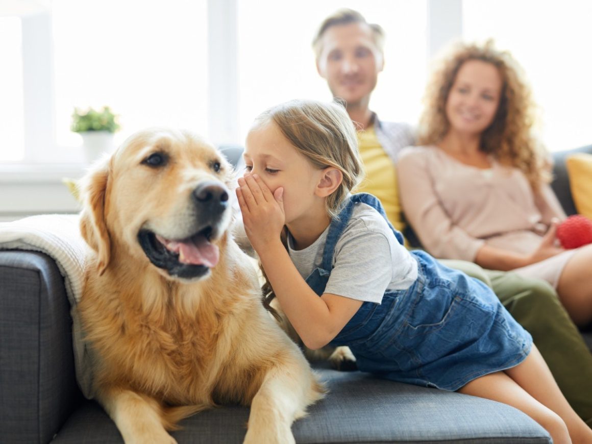AURAL-Pet and Its Impact on Human-Pet Interactions