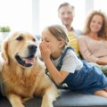 AURAL-Pet and Its Impact on Human-Pet Interactions
