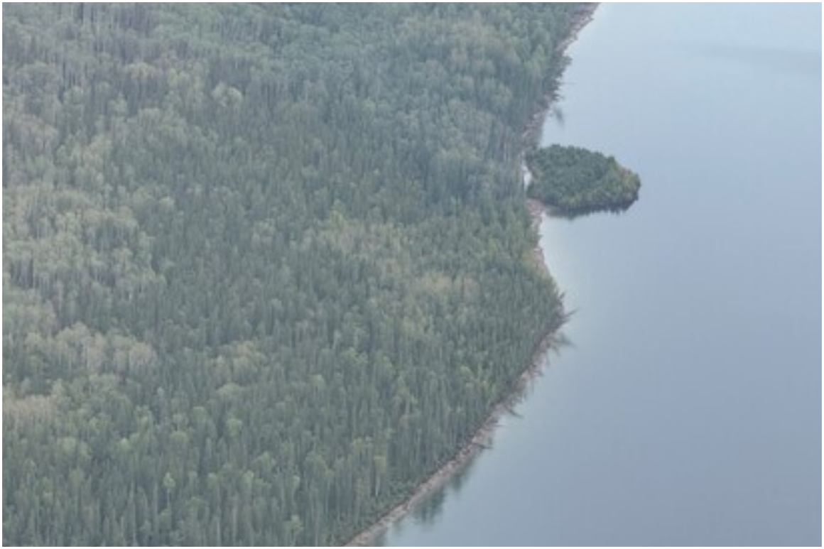 Floating Island Found After 30 Kilometer Drift in British Columbia