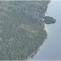 Floating Island Found After 30 Kilometer Drift in British Columbia