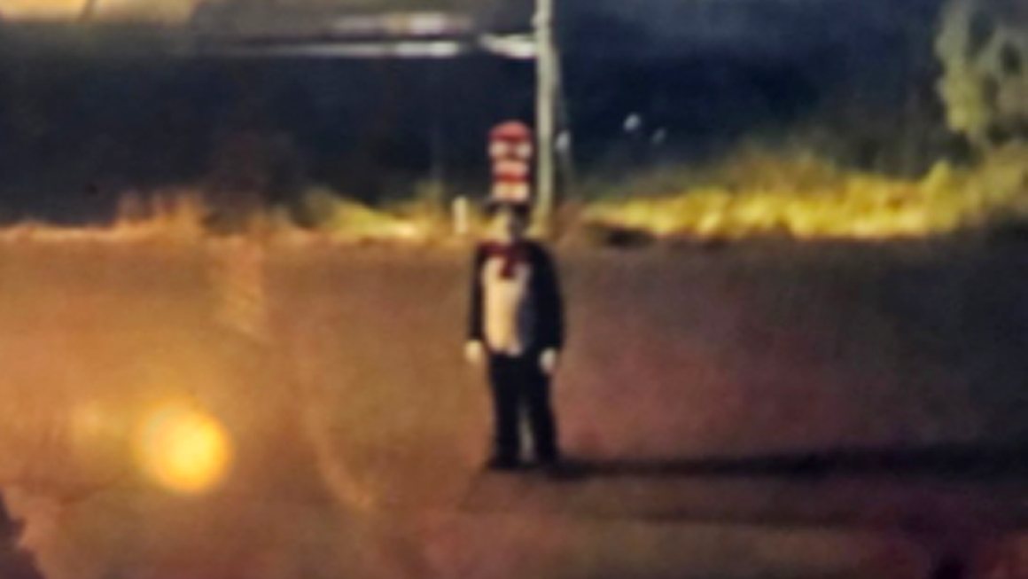 Incidents Involving Cat in the Hat Costumes Prompt Investigations