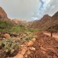 Flash Flooding in the Grand Canyon: A Result of Extreme Weather
