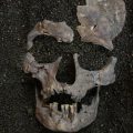 Ancient Drug Use Evidenced by Early Hunter-Gatherers in Indonesia