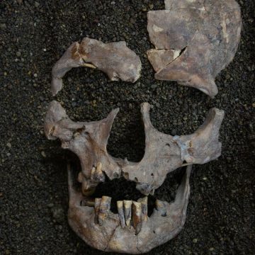 Ancient Drug Use Evidenced by Early Hunter-Gatherers in Indonesia