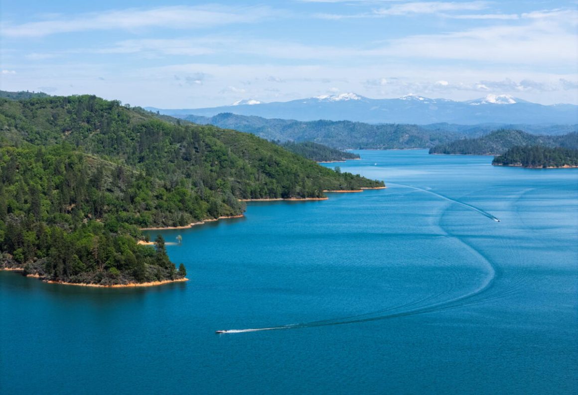 3ca3299c-59e5-4c46-84b4-ddaa69cb3058 Tragic Incident at Shasta Lake: Man Drowns Attempting Dog Rescue