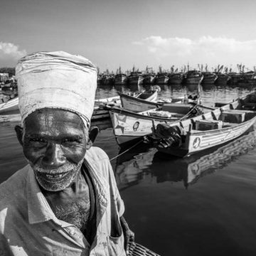 Life and Challenges at Kasimedu Fishing Harbour
