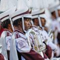 Tuba Player’s Unwavering Performance Amidst Unexpected Distraction