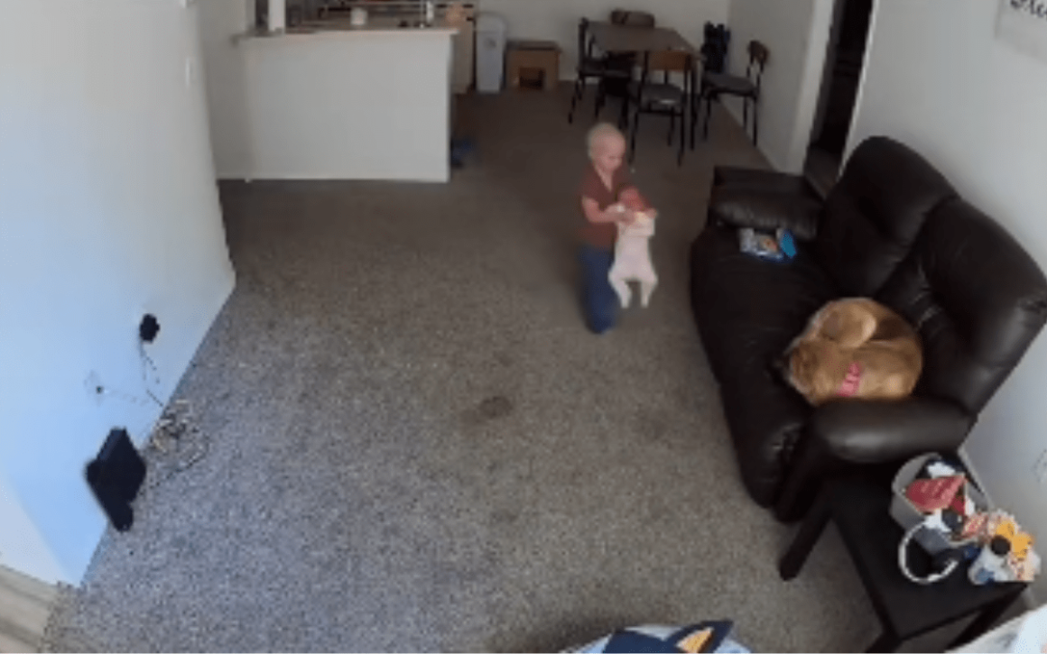 Florida Mom Relives Nerve-Wracking Experience with Security Camera Footage