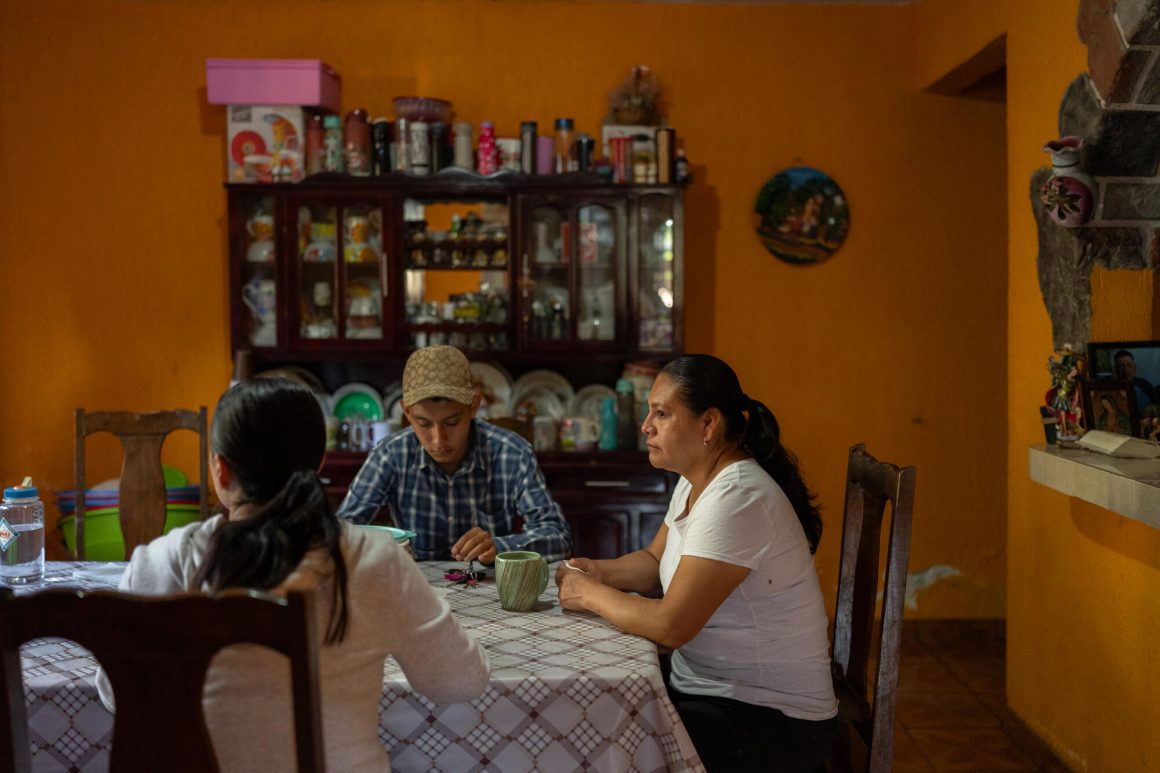 The Impact of Avocado Farming in San Ángel Zurumucapio