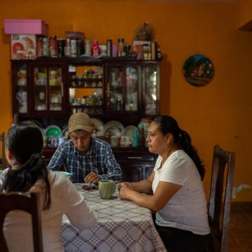 The Impact of Avocado Farming in San Ángel Zurumucapio