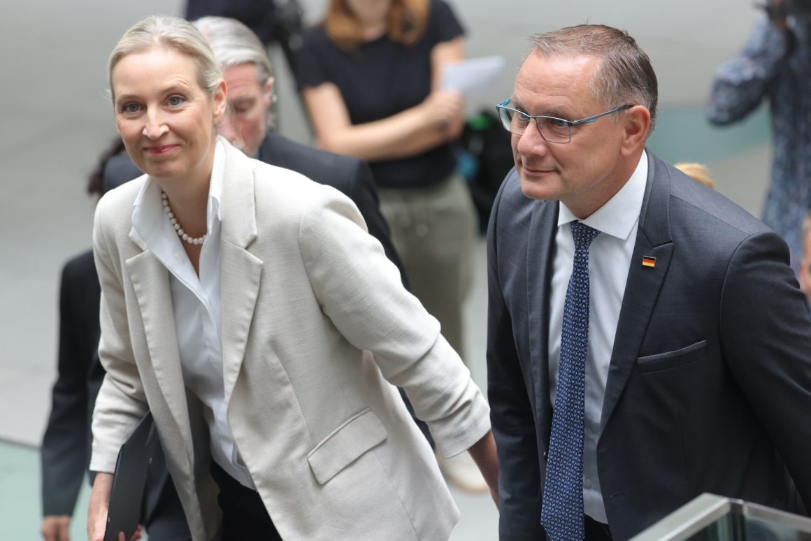 AfD’s Rising Influence in German State Elections