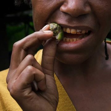 Ancient Betel Nut Use and Its Impact: Uncovering the Past