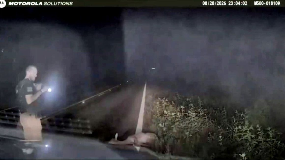 Deputy Startled as ‘Dead’ Deer Springs Back to Life