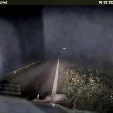 Deputy Startled as ‘Dead’ Deer Springs Back to Life