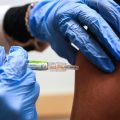 Expected Trends in Upcoming Flu Season