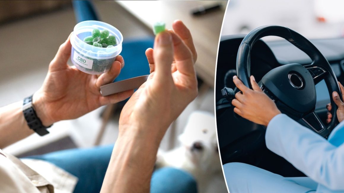 Study Shows Cannabis Edibles Impair Driving Despite Low THC Blood Levels