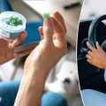 Study Shows Cannabis Edibles Impair Driving Despite Low THC Blood Levels