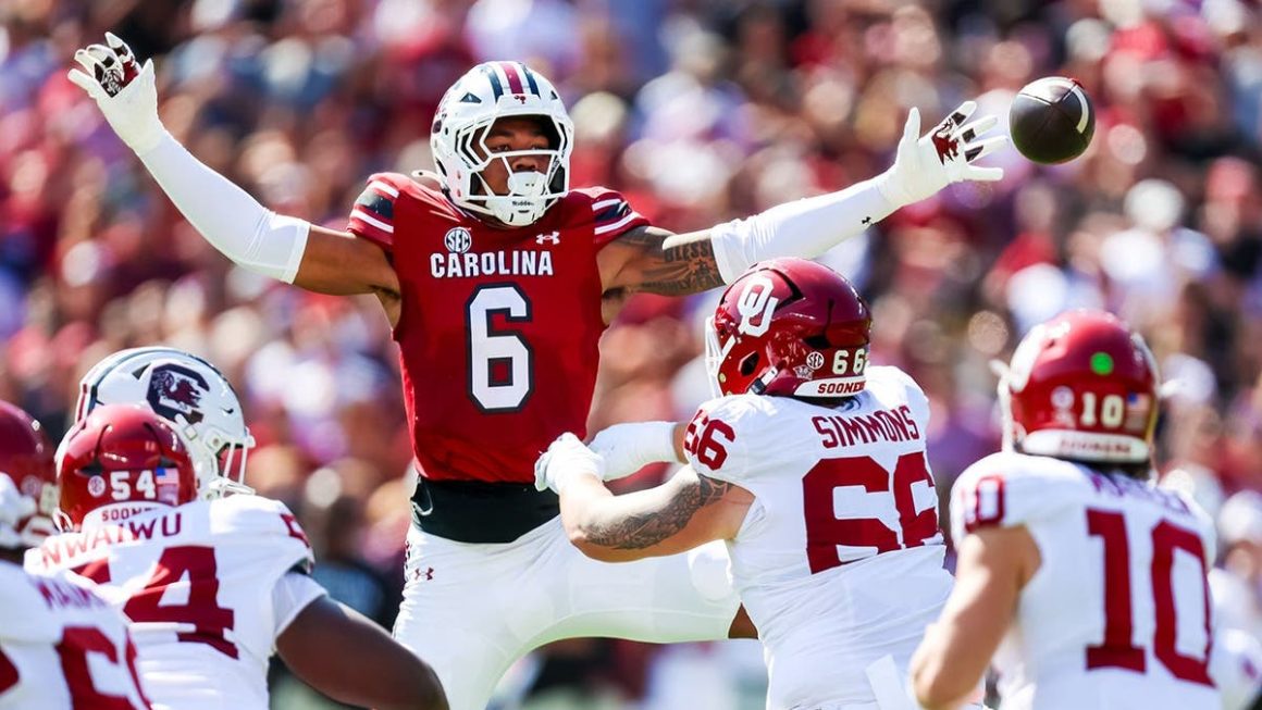 Dylan Stewart’s Uncertain Future with Gamecocks Amid Suspension