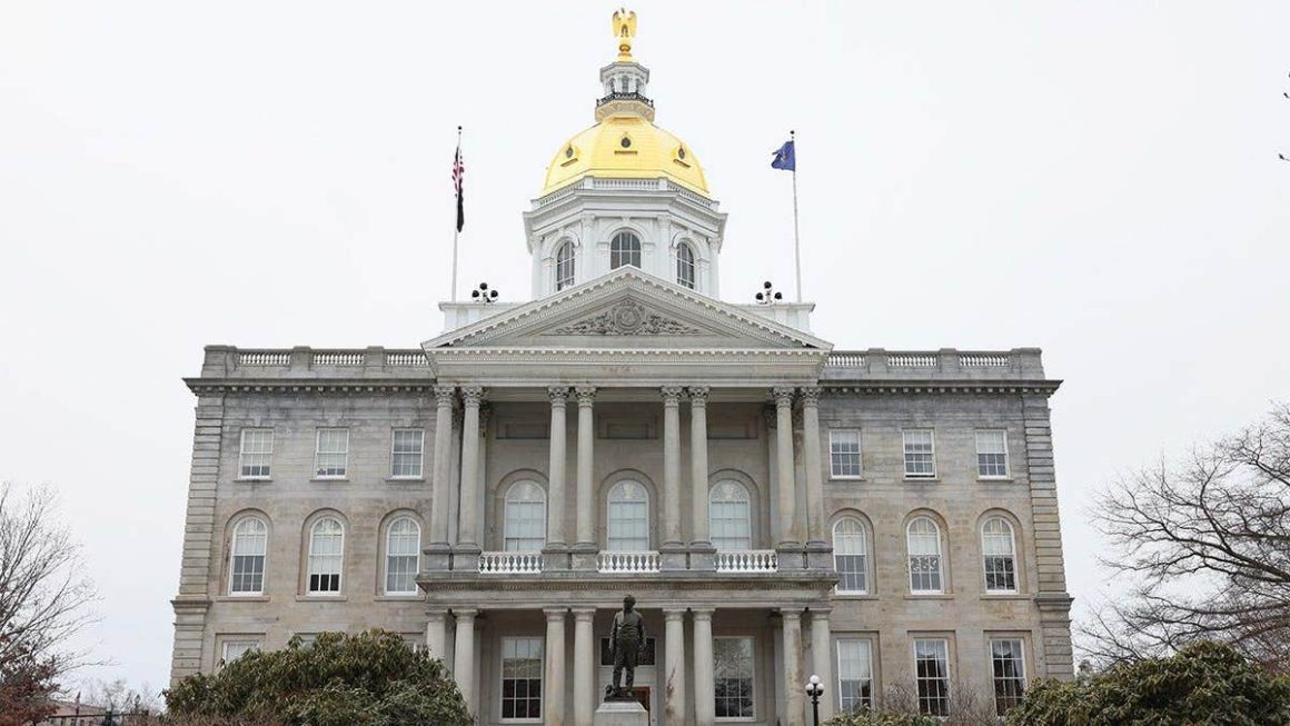 Lily Tang Williams Wins Republican Primary in New Hampshire’s Congressional District