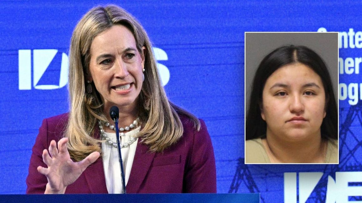 Immigration Policy Criticism: Incidents and Political Backlash
