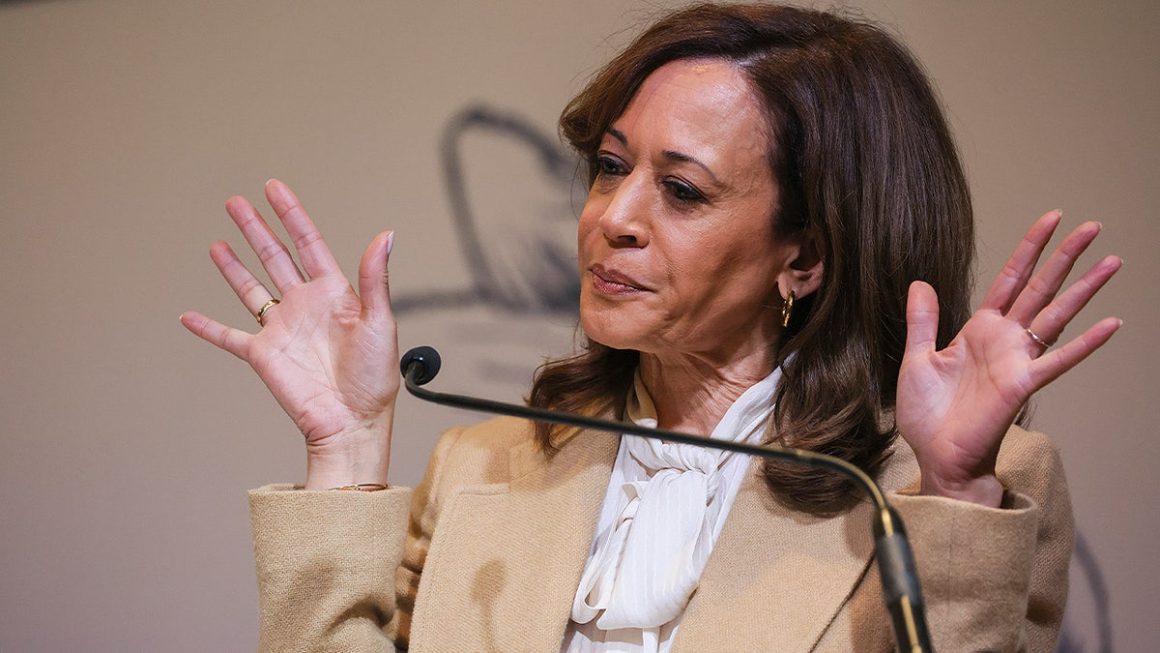83d3e56f-bbd1-47ff-af67-5ded0224299a Concerns Over Kamala Harris’ Involvement in Midterm Campaigns