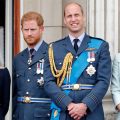The Royal Dynamics Amid Prince Harry and Meghan Markle’s Return to the UK