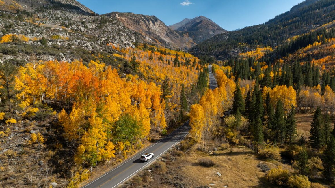 Embrace Fall: Activities and Entertainment in Southern California