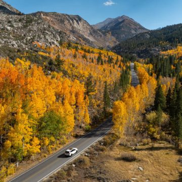 Embrace Fall: Activities and Entertainment in Southern California