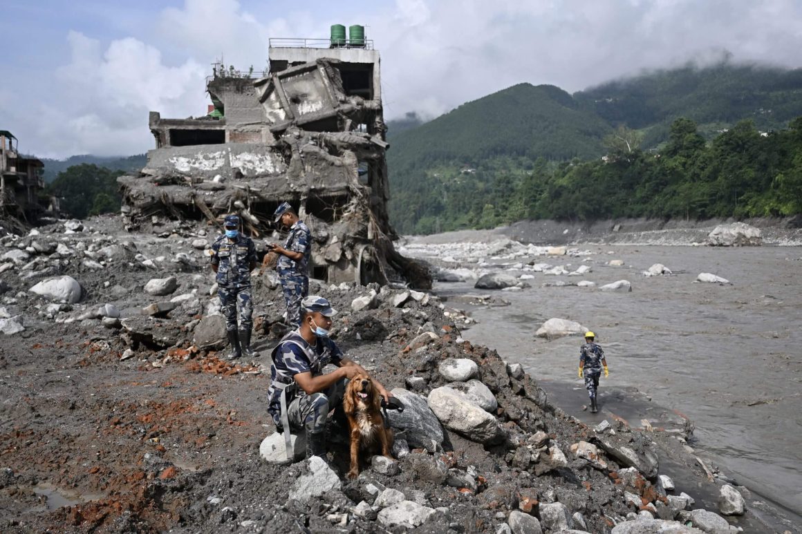 Stuart Law Reflects on Nepal’s Cricket Amidst National Tragedy