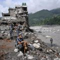 Stuart Law Reflects on Nepal’s Cricket Amidst National Tragedy