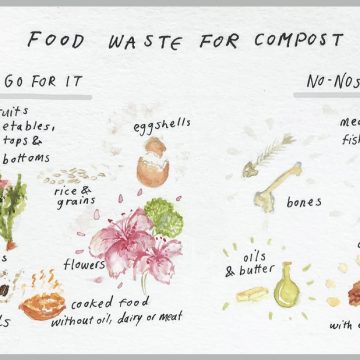 Home Composting Guide: Turn Food Waste Into Compost