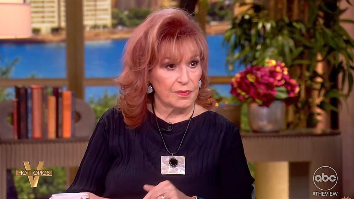 The View Co-Hosts Debate Electability of Female Presidential Candidates
