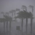 El Niño Expected to Bring Severe Weather to the U.S. This Winter