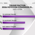 Voter Sentiment in 2026 Midterms Focuses on Trump and Economic Issues