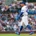 Chicago Cubs and Pittsburgh Pirates Match Highlights